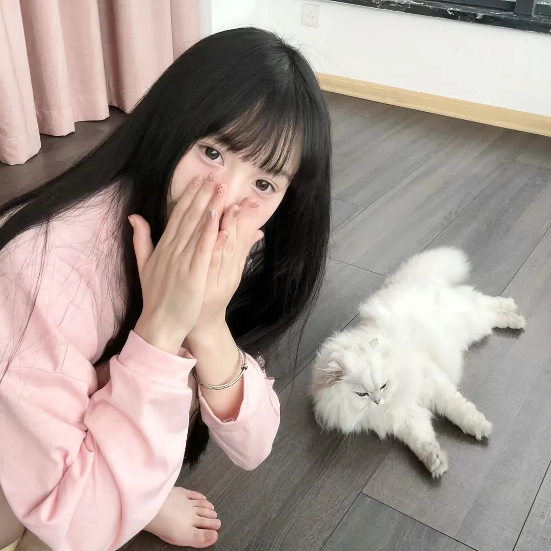 双世美姬